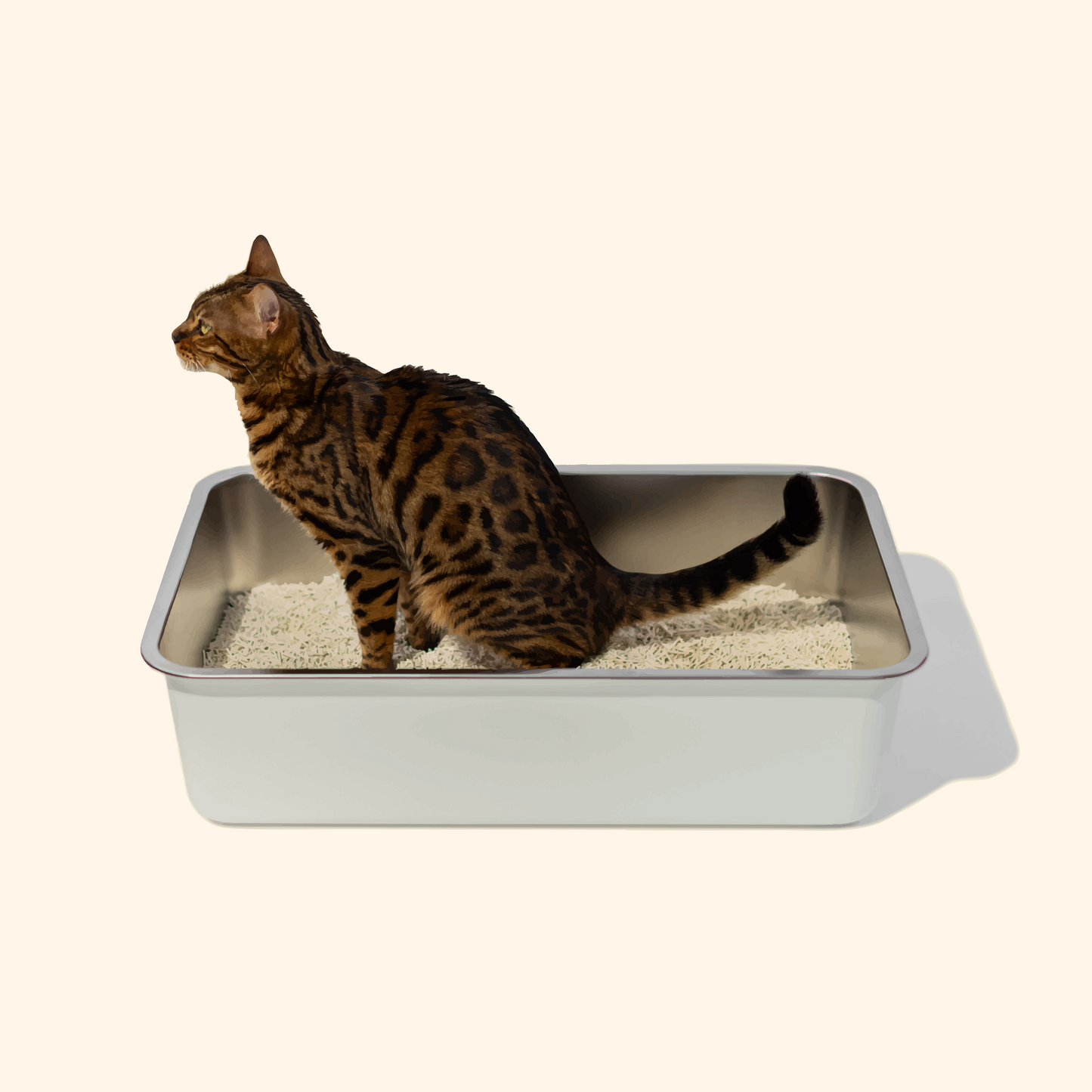 TOFU CAT LITTER